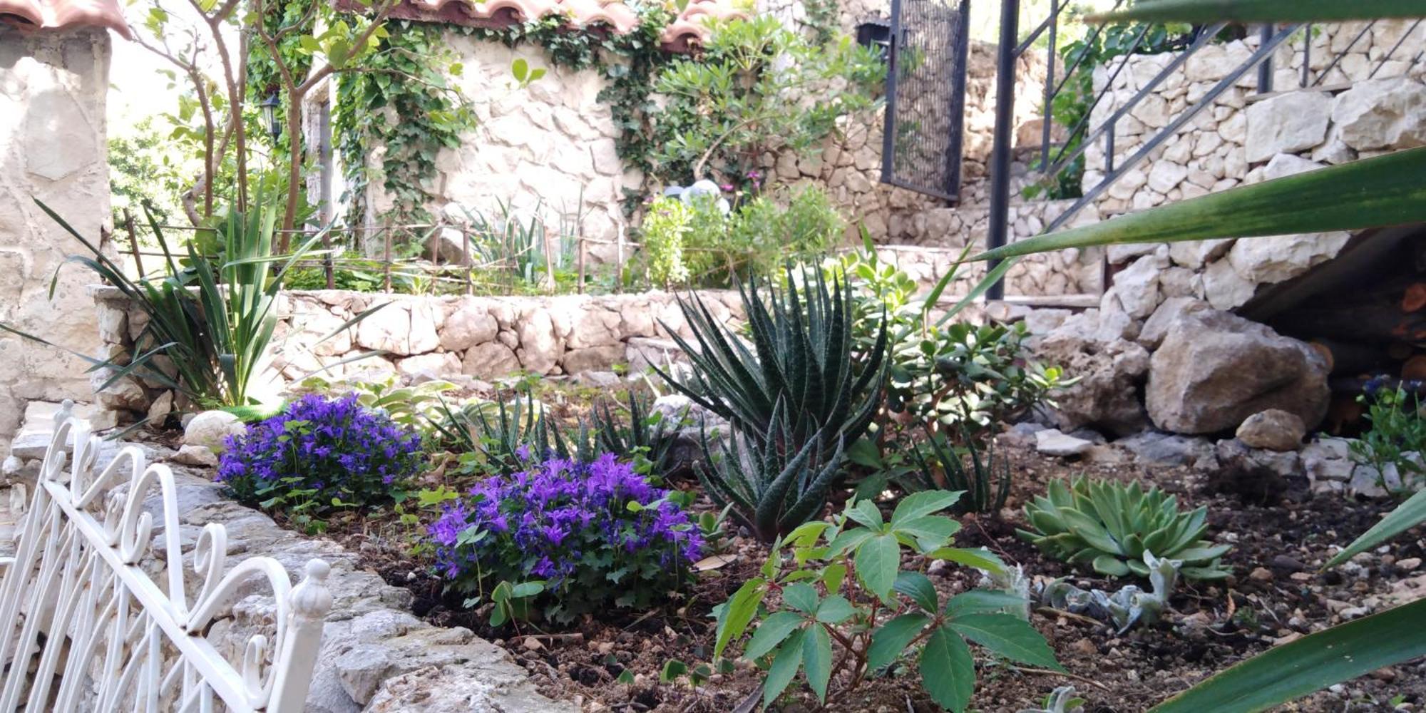 Villa Victoria Gradac  Exterior foto